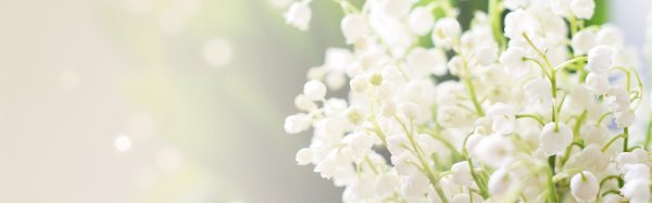 белые ландыши