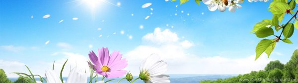 весна природа