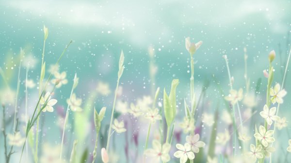 нежные фоны