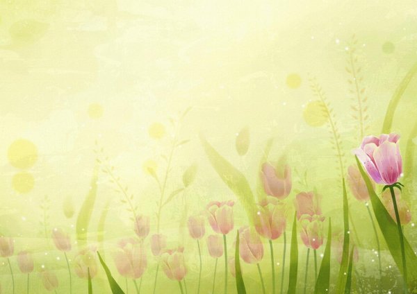 цветочные фоны