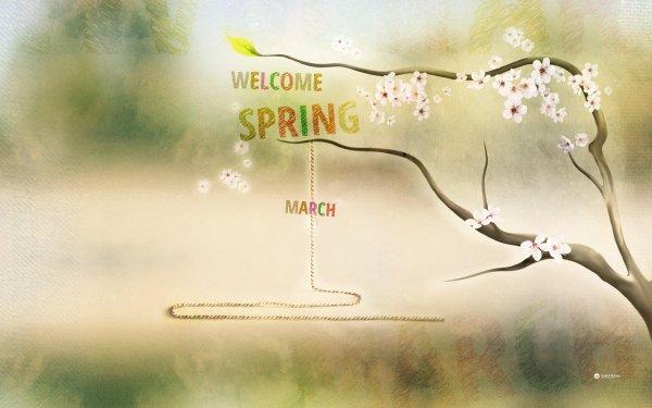 spring spring
