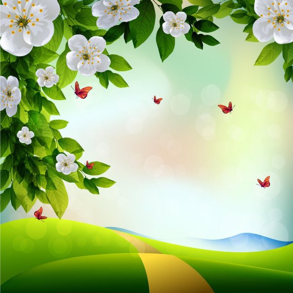 цветочные фоны