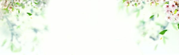 цветочные фоны