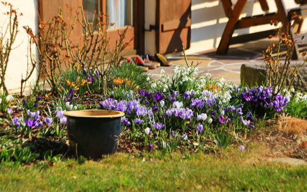 весенний цветник