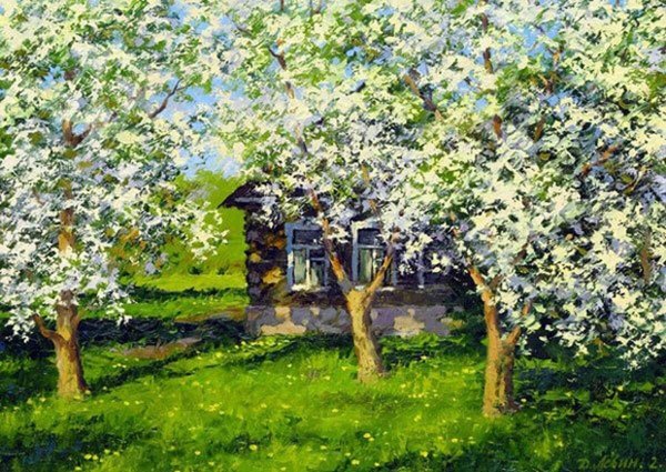 цветущие вишни петровичев