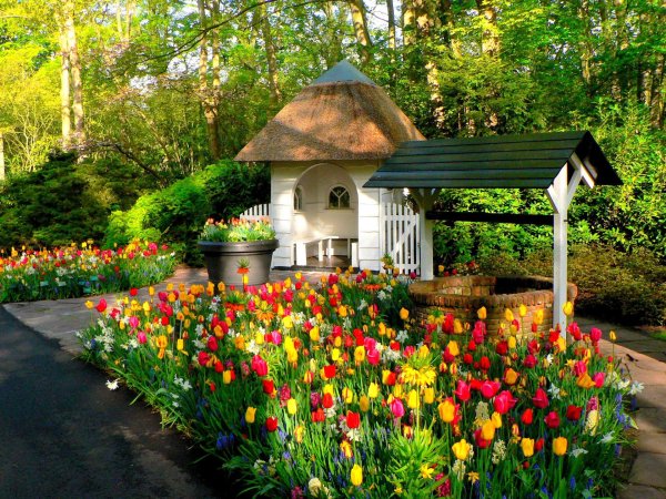 keukenhof gardens нидерланды