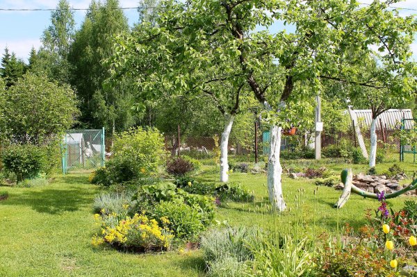 участок дачный