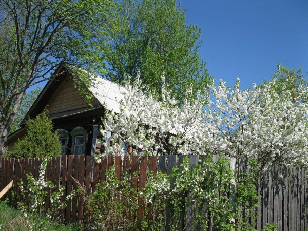 Весна на даче