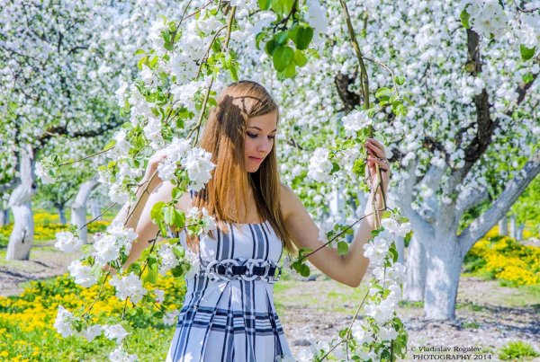 фотосессия в яблонях цветущих девушка