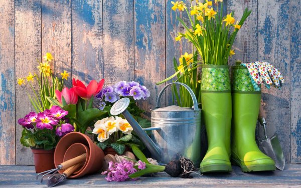 садовые инструменты