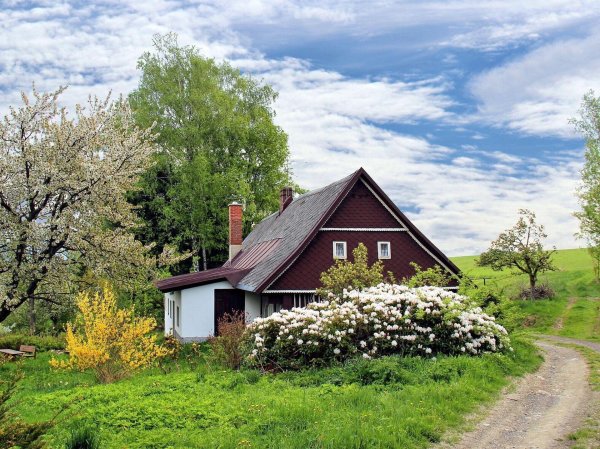 деревенские домики