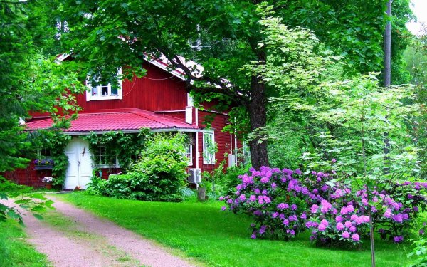 арборетум мустила