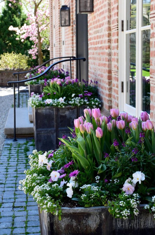 контейнерное озеленение крыльца