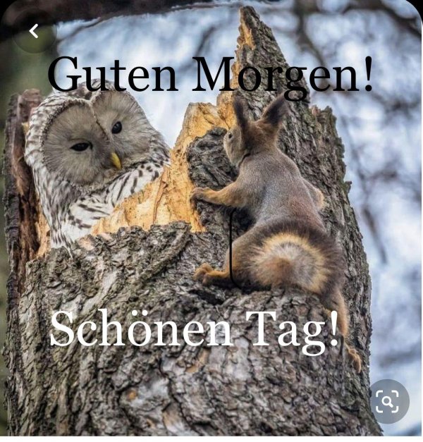 guten morgen grüße