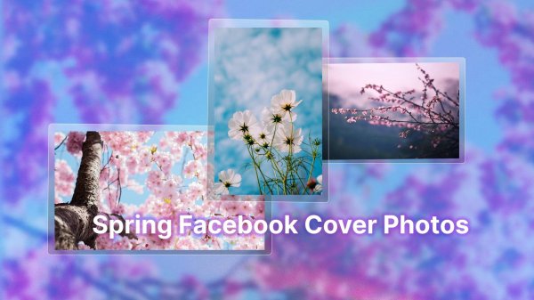facebook cover