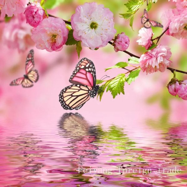 розовая бабочка