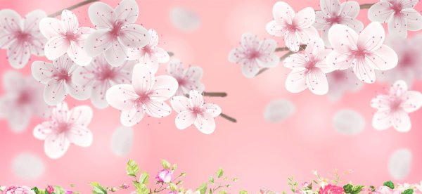 цветки сакуры