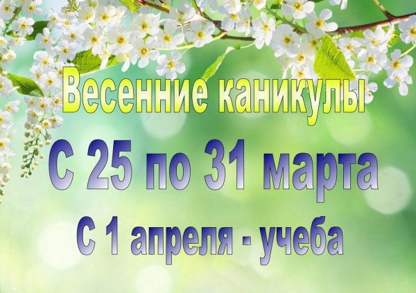 весенние каникулы