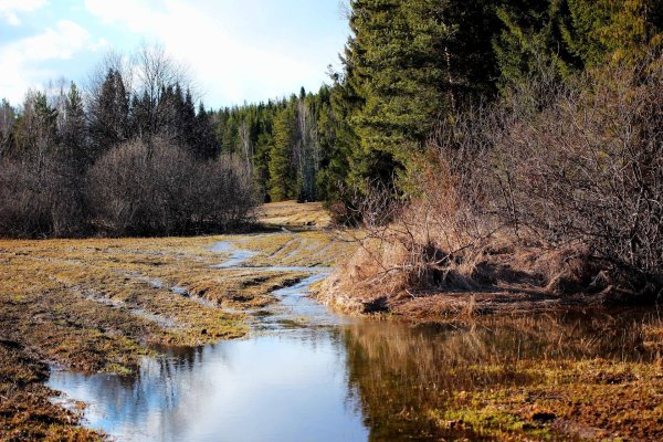 национальный парк свердловской области припышминские боры