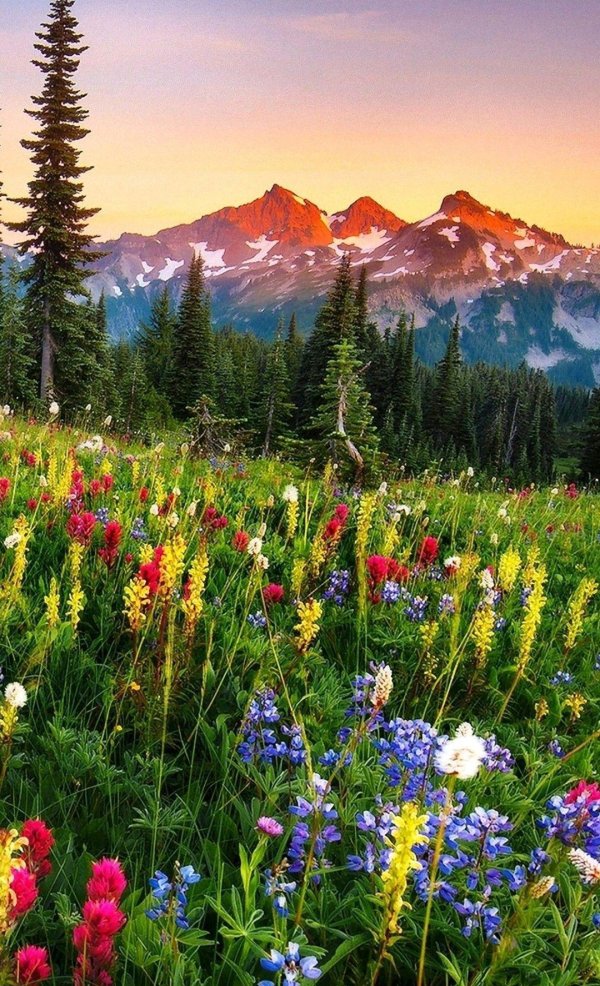 красивые пейзажи природы