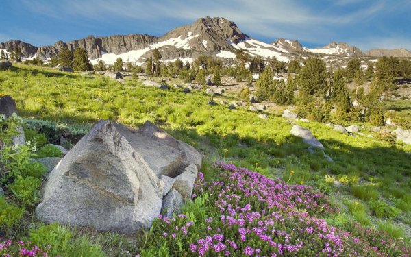 гора шаста калифорния