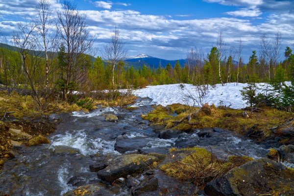 бщербаков журчат ручьи весенние