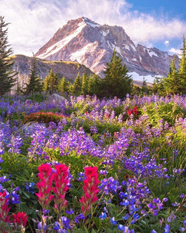 весенние пейзажи фото высокого разрешения