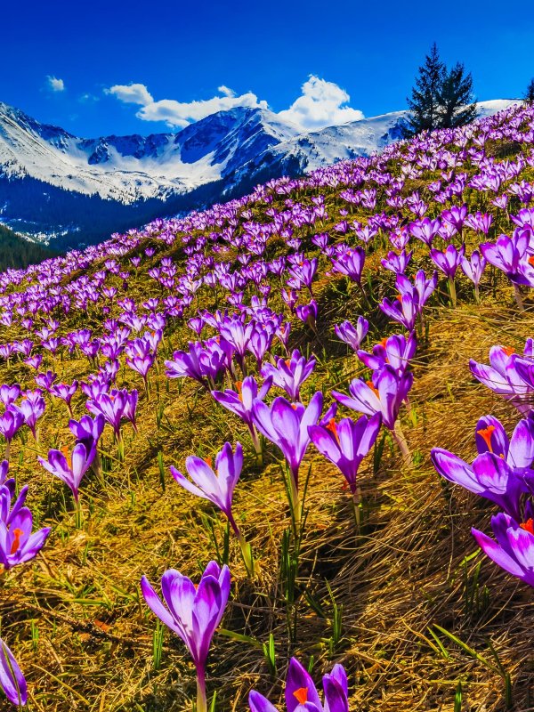 Весна на урале пейзажи