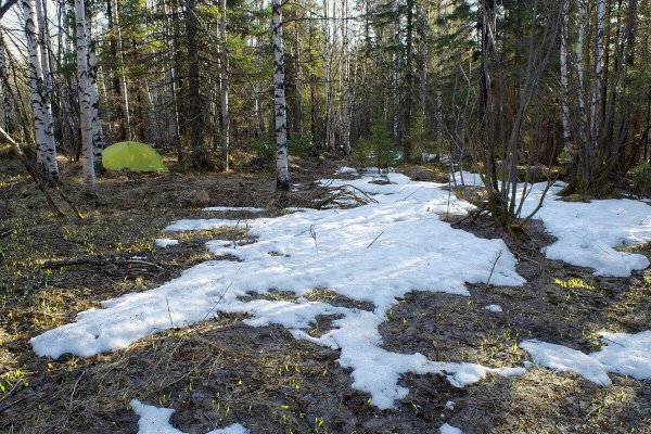 апрельские проталины