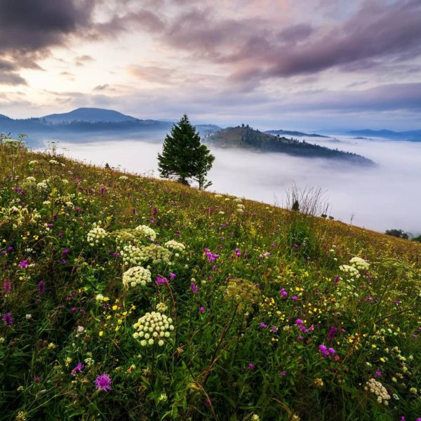 красивые пейзажи природы
