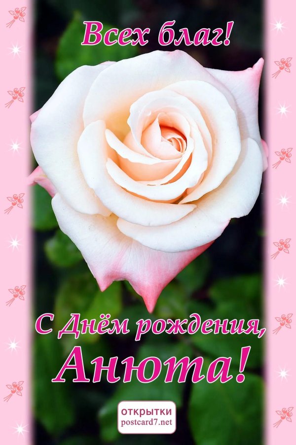с днём рождения анюта красивые