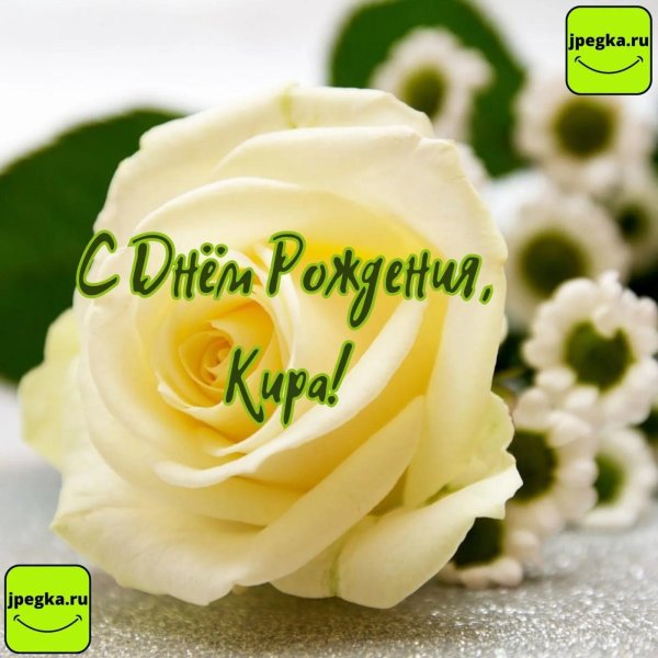 белые розы с днем рождения открытки