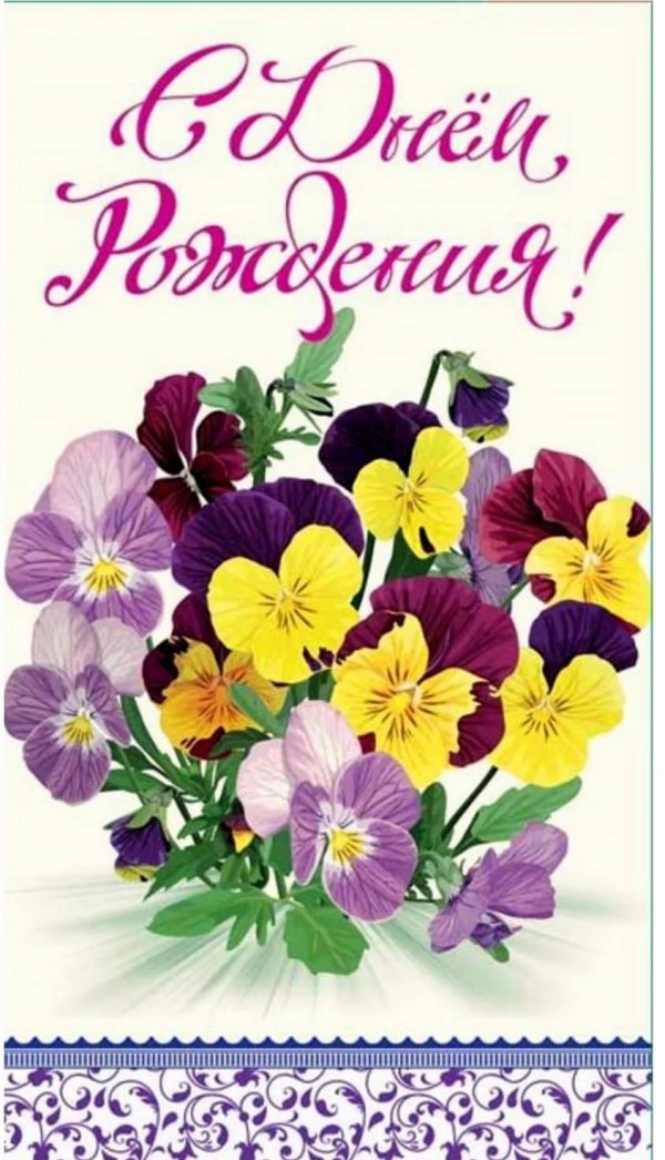 виола фиалка анютины глазки