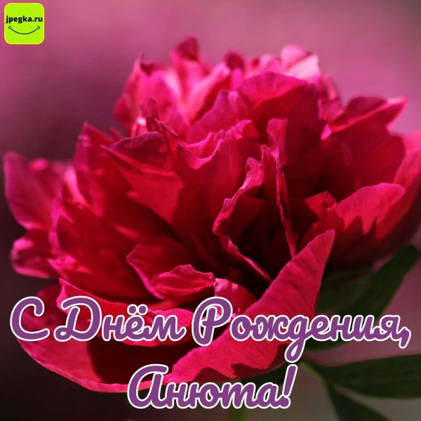 с днём рождения анна красивые поздравления