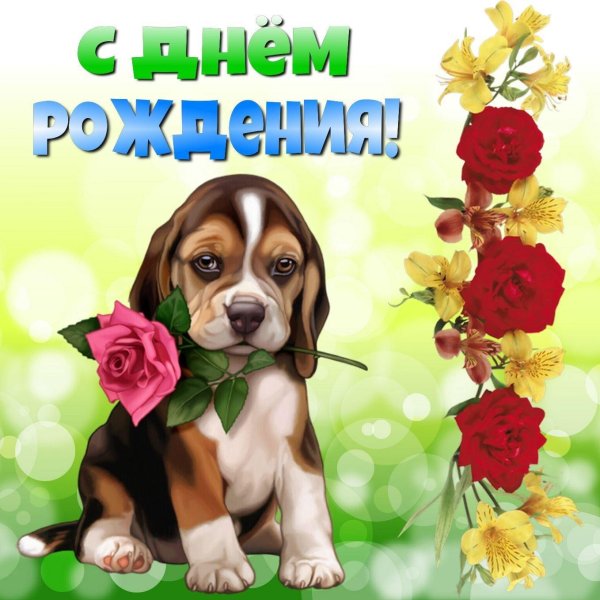 щенок с цветами