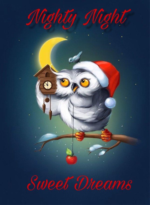 новогодние совы