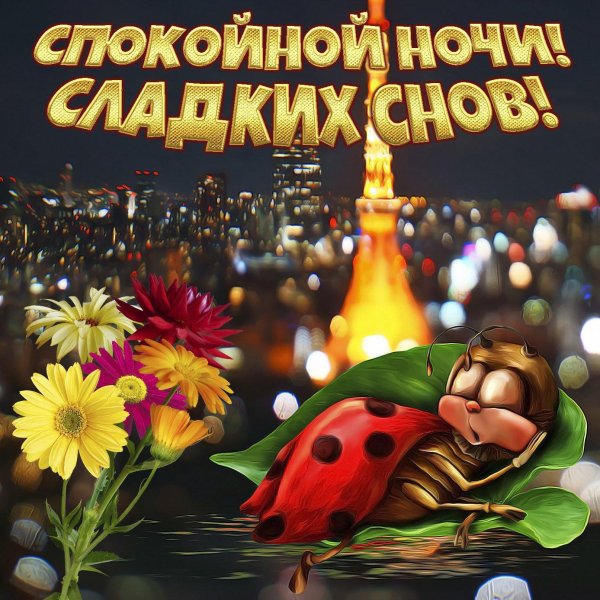 спокойной ночи открытки