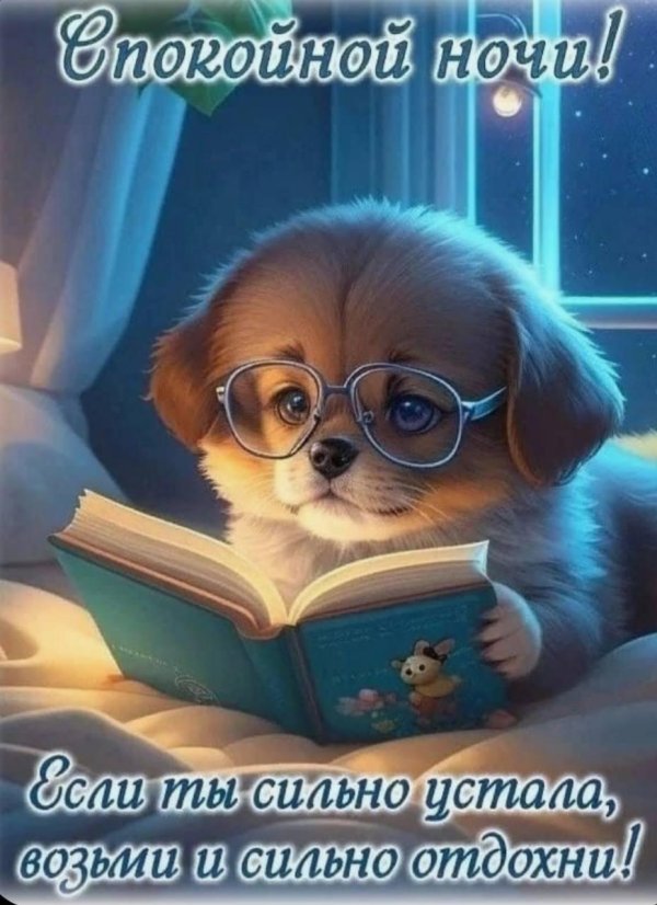 спокойной ночи прикольные смешные
