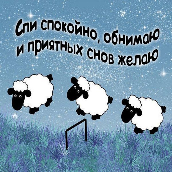считать овец