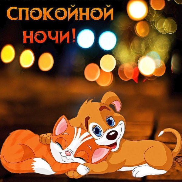 спокойная ночи