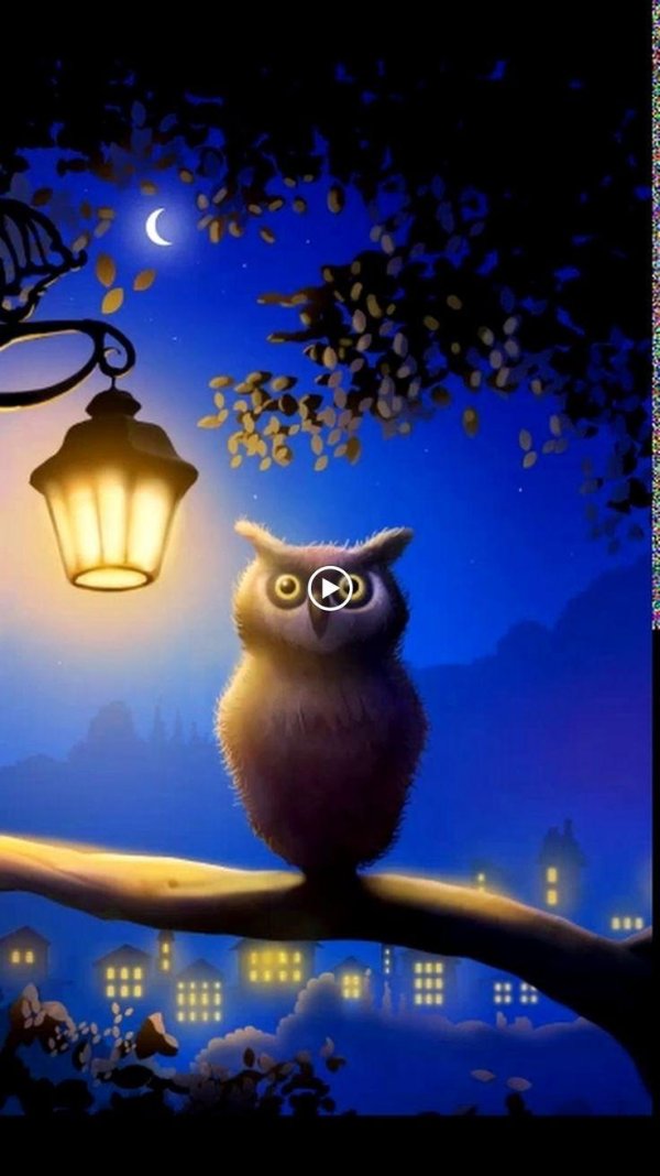 ночная соваnight owl1993