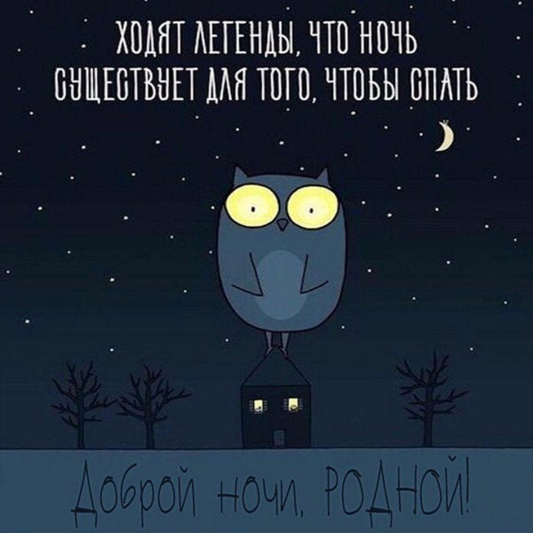 приколы про ночь