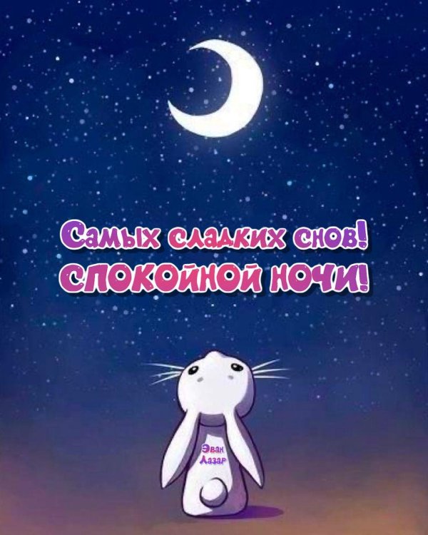 доброй ночи зайчик