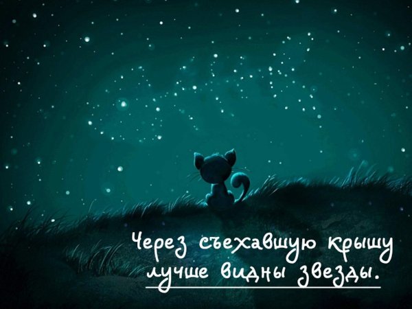 день съехавшей крыши