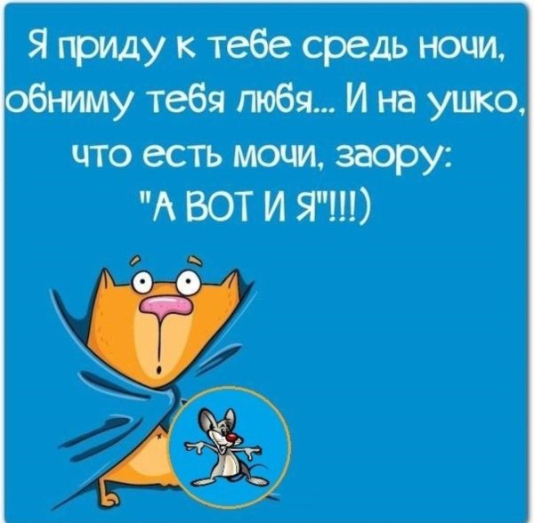 смешные пожелания на ночь