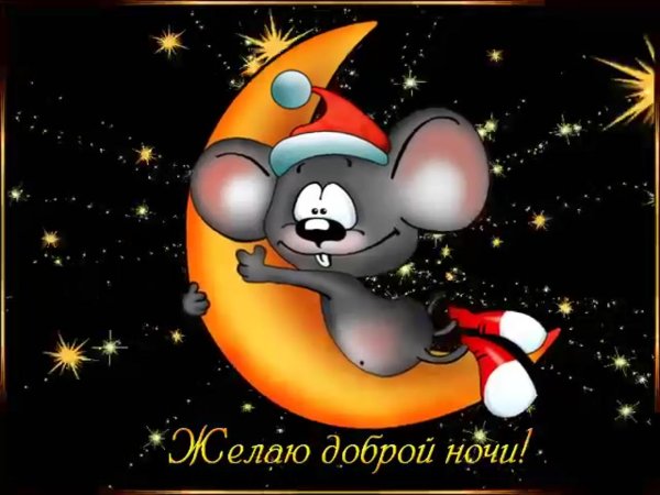 смешные пожелания доброй ночи