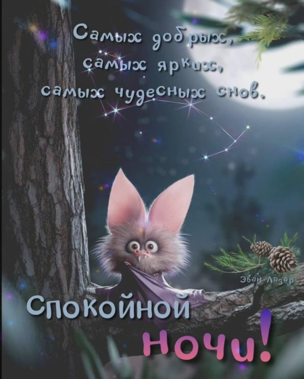 забавная летучая мышь