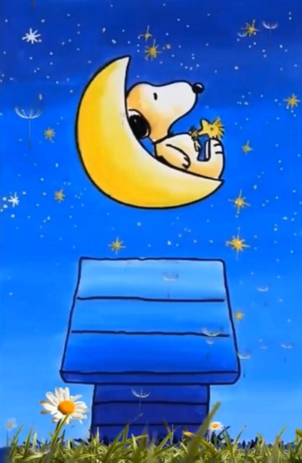 buona notte
