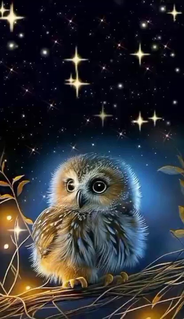 Ночь прикольные