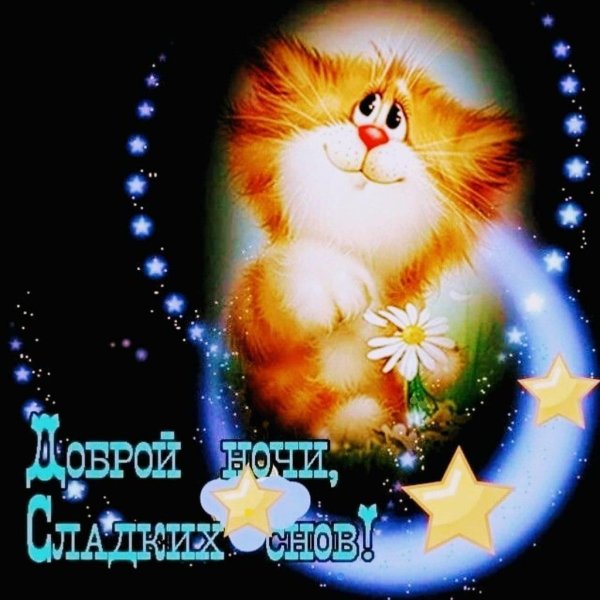 с добрым вечером и спокойной ночи